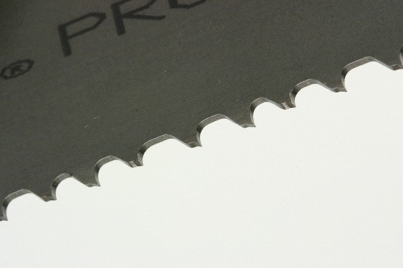 Protector 2: 1" Band Width
